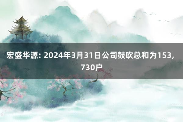 宏盛华源: 2024年3月31日公司鼓吹总和为153, 730户