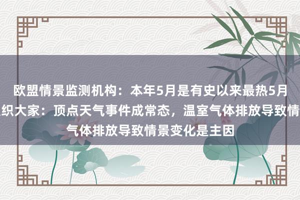 欧盟情景监测机构：本年5月是有史以来最热5月，全国景色组织大家：顶点天气事件成常态，温室气体排放导致情景变化是主因