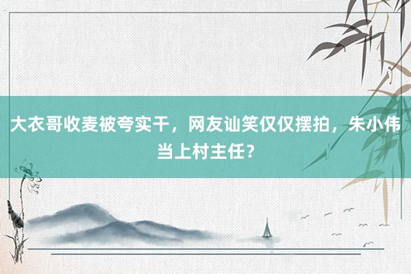 大衣哥收麦被夸实干，网友讪笑仅仅摆拍，朱小伟当上村主任？