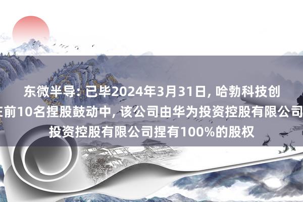 东微半导: 已毕2024年3月31日, 哈勃科技创业投资有限公司在前10名捏股鼓动中, 该公司由华为投资控股有限公司捏有100%的股权