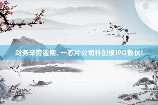 财务辛劳逾期, 一芯片公司科创板IPO散伙!