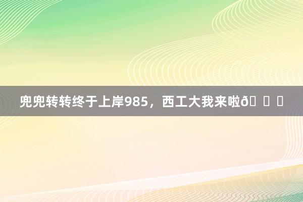 兜兜转转终于上岸985，西工大我来啦🎓