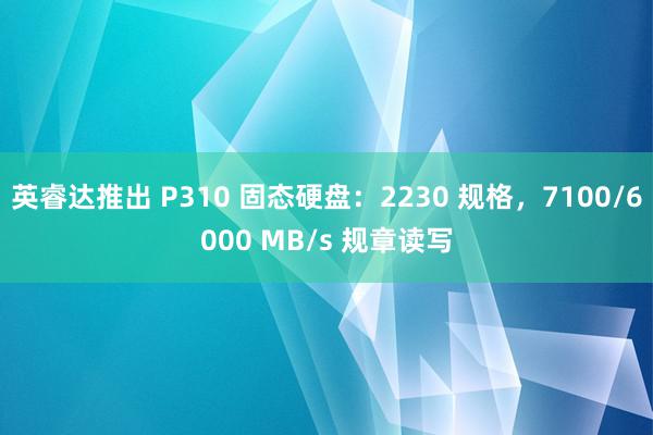 英睿达推出 P310 固态硬盘：2230 规格，7100/6000 MB/s 规章读写