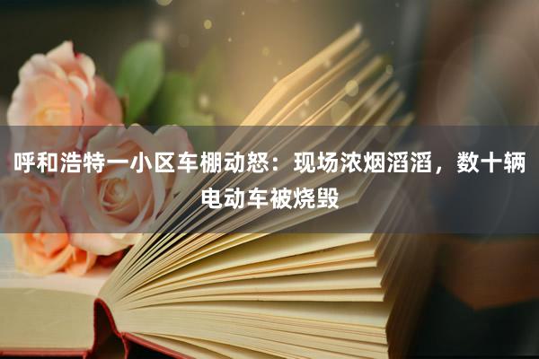 呼和浩特一小区车棚动怒：现场浓烟滔滔，数十辆电动车被烧毁