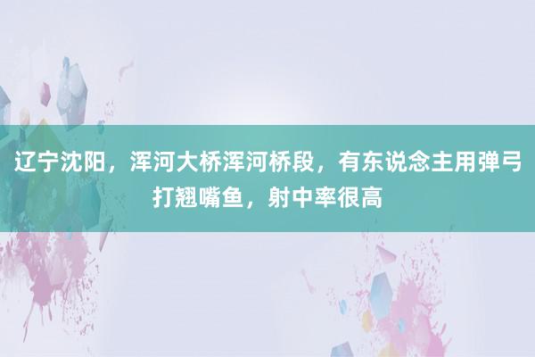 辽宁沈阳，浑河大桥浑河桥段，有东说念主用弹弓打翘嘴鱼，射中率很高