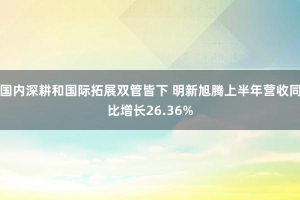 国内深耕和国际拓展双管皆下 明新旭腾上半年营收同比增长26.36%