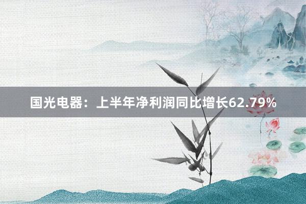 国光电器：上半年净利润同比增长62.79%