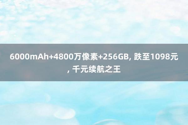 6000mAh+4800万像素+256GB, 跌至1098元, 千元续航之王