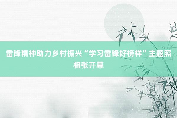 雷锋精神助力乡村振兴“学习雷锋好榜样”主题照相张开幕