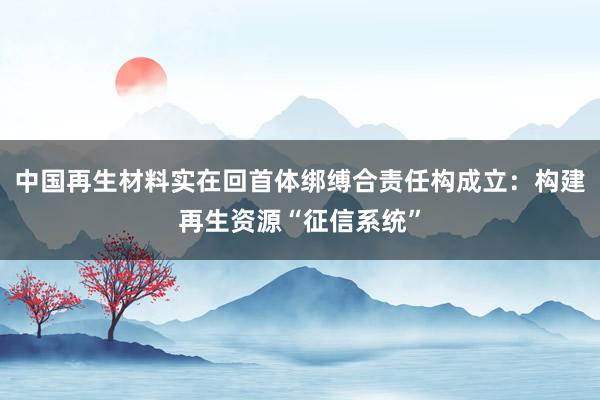 中国再生材料实在回首体绑缚合责任构成立：构建再生资源“征信系统”